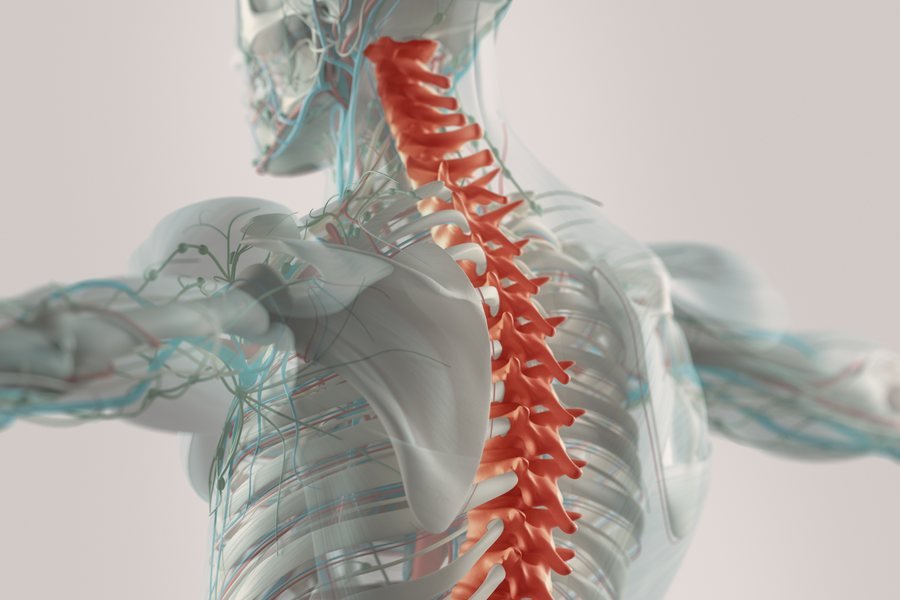 Herniated disc